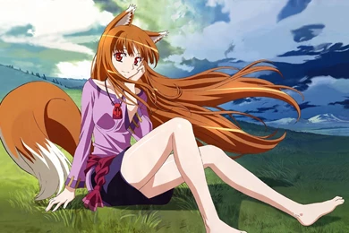 Holo With A Big Grin On Her Face HD Desktop Wallpapers : Widescreen ...