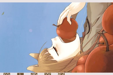 16 Holo (Spice & Wolf) HD Wallpapers