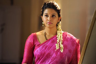 Tamil And Telugu Actress Anjali HD Wallpapers   IHD Wallpapers