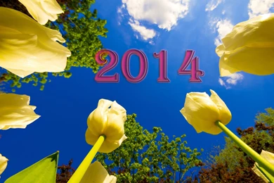 2014 Ros Free Hd Wallpapers   Free Hd Wallpapers