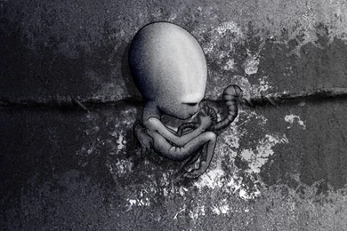 DeviantArt: More Like Sigur Ros Wallpapers By Khroma