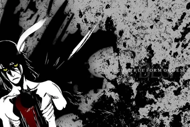Ulquiorra, Bleach, Anime, 1920x1080 HD Wallpapers And FREE Stock Photo