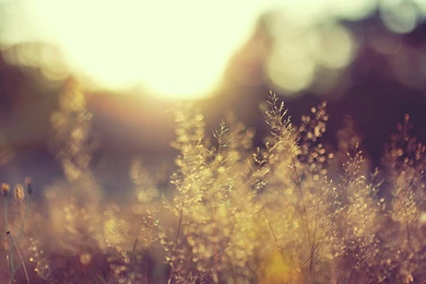 Beautiful World Wallpapers