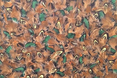 Heimtextil Memory Trend Theme Park 2015/2016 Wallpapers