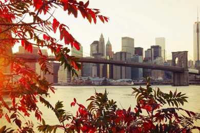 Brooklyn Bridge New York Wallpapers HD Download Desktop