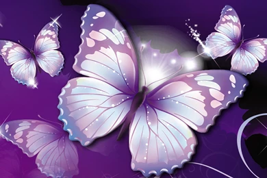 Beautiful Butterfly Desktop Wallpapers   Free Hd Wallpapers