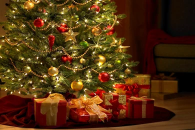 Beautiful Christmas Trees Pictures   HD Wallpapers Pretty