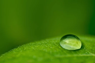 Nature Wallpapers 2C4   Image DM