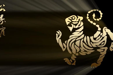 Karate Live Wallpapers   Android Apps And Tests   AndroidPIT