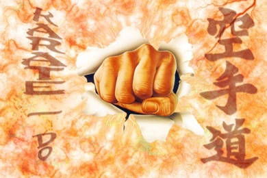 Wallpapers Sports   Leisures > Wallpapers Karate Wall Karate Do By ...