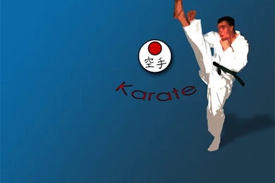 Download Karate Shotokan