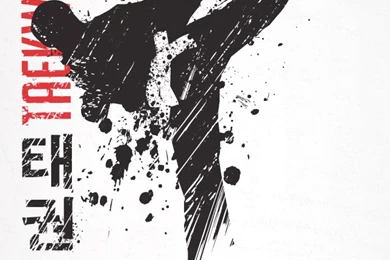 Blitz Karate iPhone Wallpapers (960 X 640)