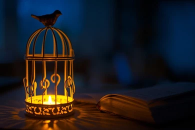 Owl Candle Lantern