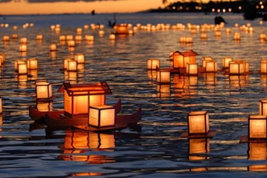 LANTERN WALLPAPER   (