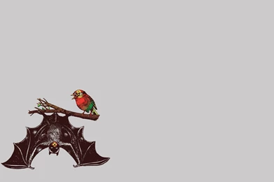 Download Batman Robin Wallpapers 1440x900