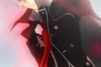 Zero Kiryu Wallpapers By AnyaKuran On DeviantArt