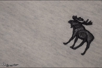 Abercrombie:Moose By Bubzphoto On DeviantArt