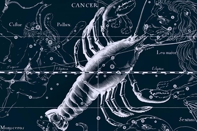 Pisces Horoscope Wallpapers HD Pictures