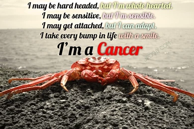 JiPoshy: IS CANCER OVER SENSITIVE UNDER THAT HARD SHELL?