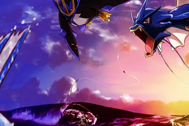 Download Wallpapers, Download 960x854 Pokemon Empoleon Gyarados ...