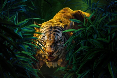 Shere Khan The Jungle Book Wallpapers