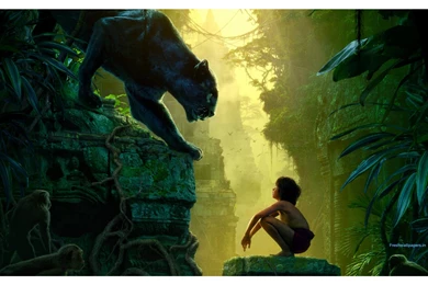 Download The Jungle Book 2016 Wallpapers In Hd   HDwallpaper4U.com