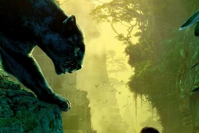 Lumia 535   Movie/The Jungle Book   Wallpapers ID: 577826