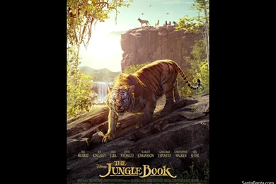 The Jungle Book Movie Wallpapers