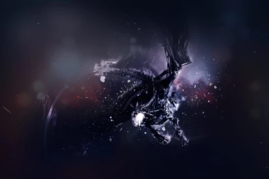 Crystal Speed Network* 2013 2014