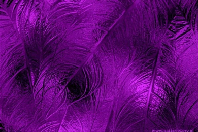 Free Purple Wallpaper Backgrounds   Wallpapers Cave