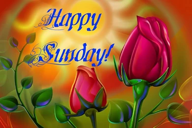 Happy Sunday Images Wallpapers Greetings Quotes And Funny Stuff