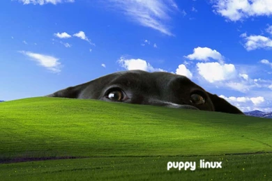 Puppy Linux Discussion Forum :: View Topic   Puppy Wallpapers