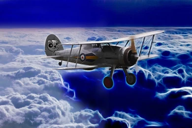 Puppy Linux Discussion Forum :: View Topic   Puppy Wallpapers