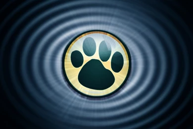 Puppy Linux Discussion Forum :: View Topic   Shining Walpapers