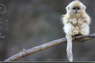 Puppy Linux   SlimPup With Fluxbox By ElderVLaCoste On DeviantArt