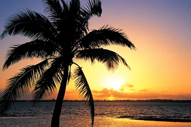 Orange Sunset On The Tropic Beach Backgrounds   Beach Wallpapers