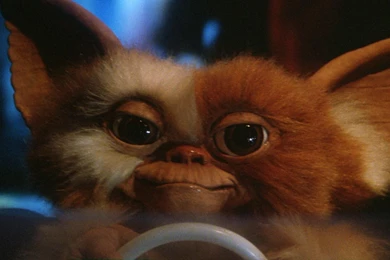 Movies Gremlins Gizmo Movie Stills Wallpapers