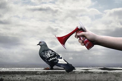 Wallpapers Silence The Sound Of Hd Widescreen 1280x960