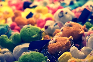 Nice Teddy Bears Hd Desktop Wallpapers