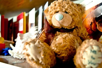 HD Best Teddy Bear Wallpapers High Resolution Full Size ...