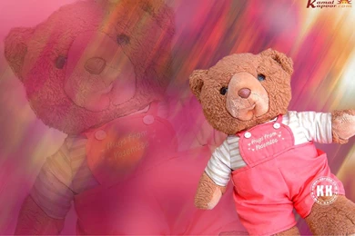 Posters Of Teddy Bear, Colour Wallpapers Teddy Bear, Download ...