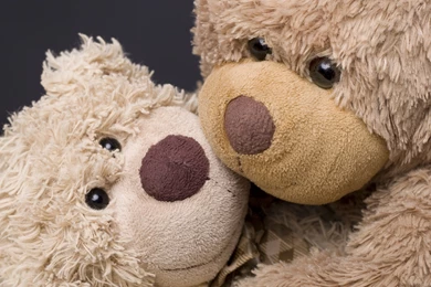 Teddy Bears Computer Wallpapers, Desktop Backgrounds