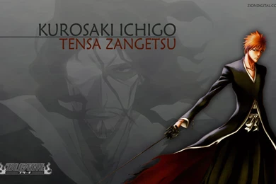 Ichigo Kurosaki Images 7459   HD Wallpapers Site