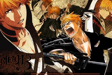 Ichigo Kurosaki Wallpapers High Resolution Attachment 7424   HD ...