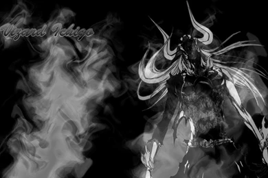 Bleach Kurosaki Ichigo Vizard Vastolorde 1440x900 Wallpapers ...