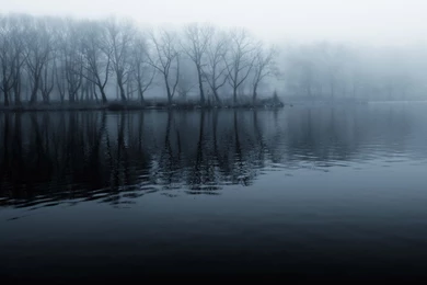 Dark Forest Wallpapers Desktop Backgrounds For Desktop Uncalke.com