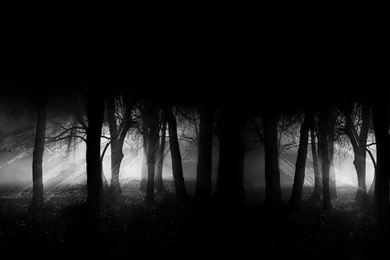 V.2 Dark Forest Wallpapers HD By Speetix On DeviantArt