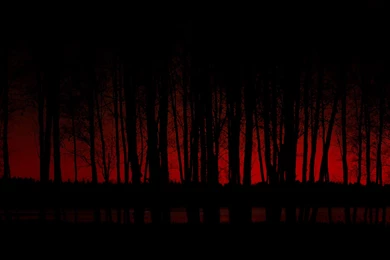 Forest Tumblr Hd Images