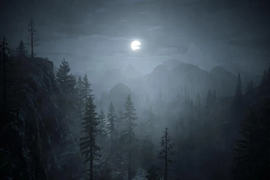 Page 1250 The Dark Forest Wallpapers Wallpapers Hd Wallpapers