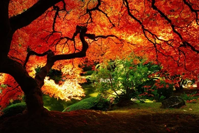 Gardens Wallpaper: Japanese Garden 1920x1080 Wallpapers, Favorite ...